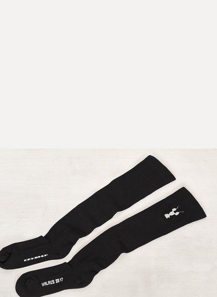 Walrus Socks